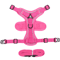 NoPull Reflective Dog Harness Leash Set Breathable Vest For Small Medium Dogs 7