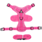 NoPull Reflective Dog Harness Leash Set Breathable Vest For Small Medium Dogs 7