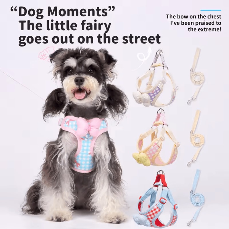 BowCharm Reflective Small Dog Harness Vest With Leash Breathable Secure Outdoor Fit 0