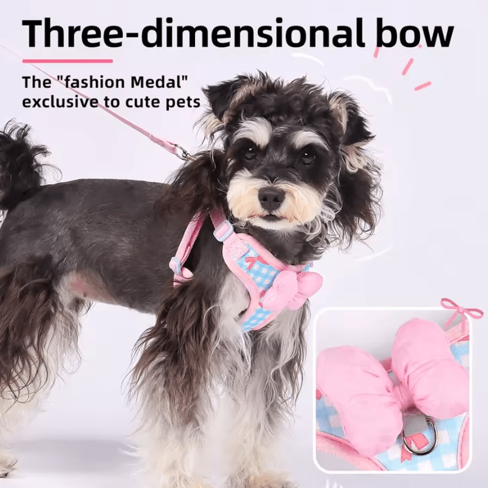 BowCharm Reflective Small Dog Harness Vest With Leash Breathable Secure Outdoor Fit 1