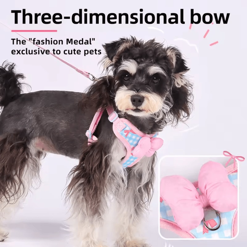 BowCharm Reflective Small Dog Harness Vest With Leash Breathable Secure Outdoor Fit 1