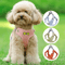 BowPaw Reflective Small Dog Harness Vest With Leash Cute Breathable Secure Fit 0