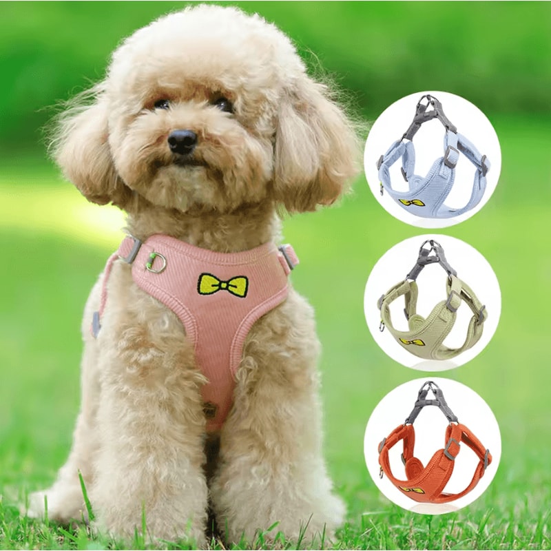 BowPaw Reflective Small Dog Harness Vest With Leash Cute Breathable Secure Fit 0