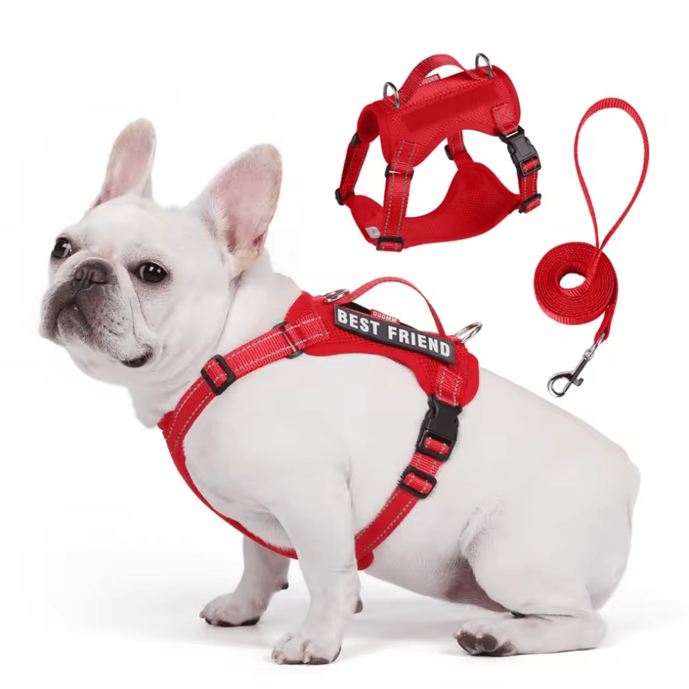 SafePaw Reflective Dog Harness Leash Set Breathable NoPull Vest For Small Medium Dogs 0