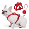 SafePaw Reflective Dog Harness Leash Set Breathable NoPull Vest For Small Medium Dogs 0