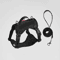 SafePaw Reflective Dog Harness Leash Set Breathable NoPull Vest For Small Medium Dogs 1