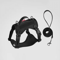 SafePaw Reflective Dog Harness Leash Set Breathable NoPull Vest For Small Medium Dogs 1