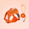 SafePaw Reflective Dog Harness Leash Set Breathable NoPull Vest For Small Medium Dogs 2