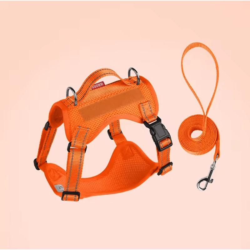 SafePaw Reflective Dog Harness Leash Set Breathable NoPull Vest For Small Medium Dogs 2