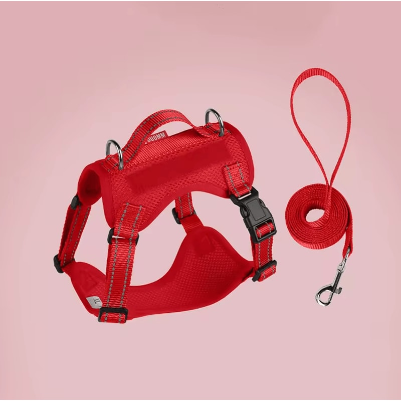 SafePaw Reflective Dog Harness Leash Set Breathable NoPull Vest For Small Medium Dogs 3