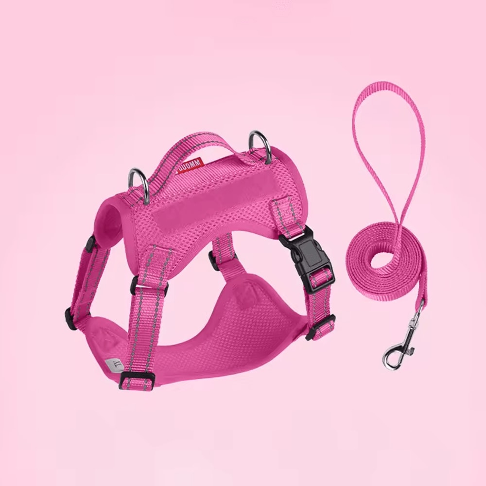 SafePaw Reflective Dog Harness Leash Set Breathable NoPull Vest For Small Medium Dogs 5