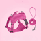 SafePaw Reflective Dog Harness Leash Set Breathable NoPull Vest For Small Medium Dogs 5