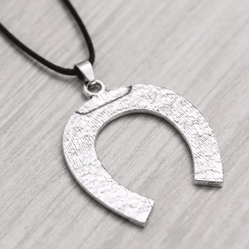 Lucky Horseshoe House Car Rearview Mirror Pendant 3