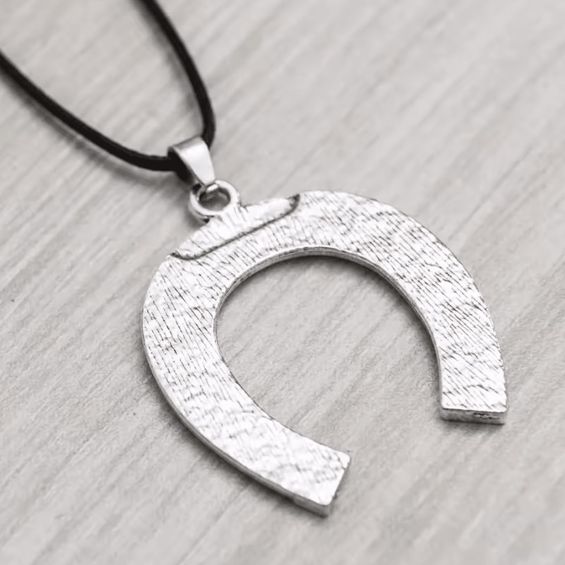 Lucky Horseshoe House Car Rearview Mirror Pendant 3