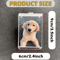 Magnetic Polaroid Car Visor Photo Clip Holder 3