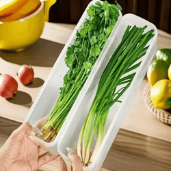 long rectangular vegetable storage containers for refrigerator organization