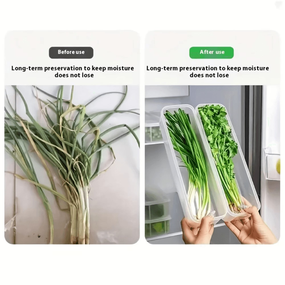 Long Rectangular Vegetable Storage Containers For Refrigerator Organization 3