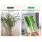 Long Rectangular Vegetable Storage Containers For Refrigerator Organization 3