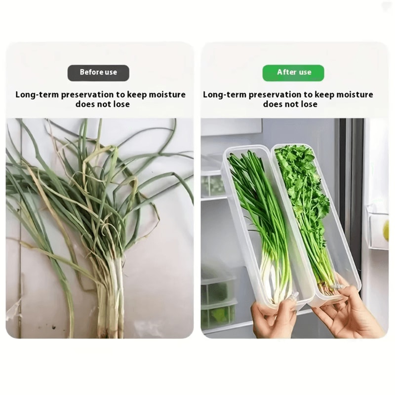 Long Rectangular Vegetable Storage Containers For Refrigerator Organization 3