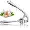 RockEase Stainless Steel Garlic Press Rocker 0