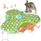 WhiskerHide Interactive Motion Cat Toy With Squeaky Mouse Feather Teaser 3