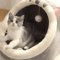 SnuggleDome SemiEnclosed Warm Cat Nest Bed 2