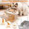 WoodlandPaws Elevated Triple Stainless Steel Cat Bowl Set 2