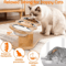 WoodlandPaws Elevated Triple Stainless Steel Cat Bowl Set 2