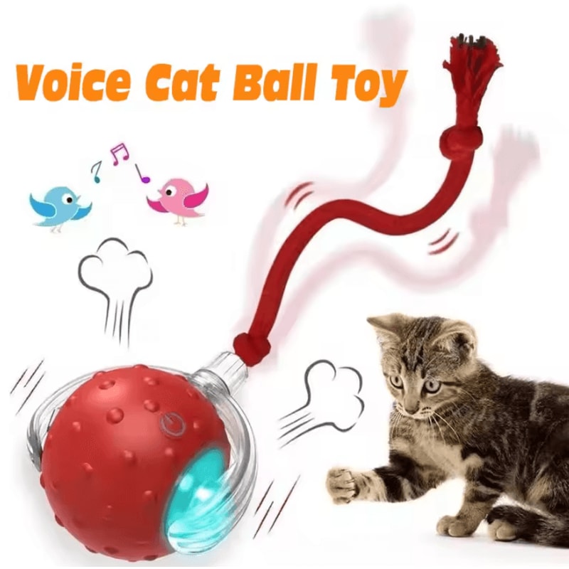 RolliePaws Smart Automatic Rolling Cat Ball Toy 1