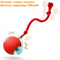 RolliePaws Smart Automatic Rolling Cat Ball Toy 4
