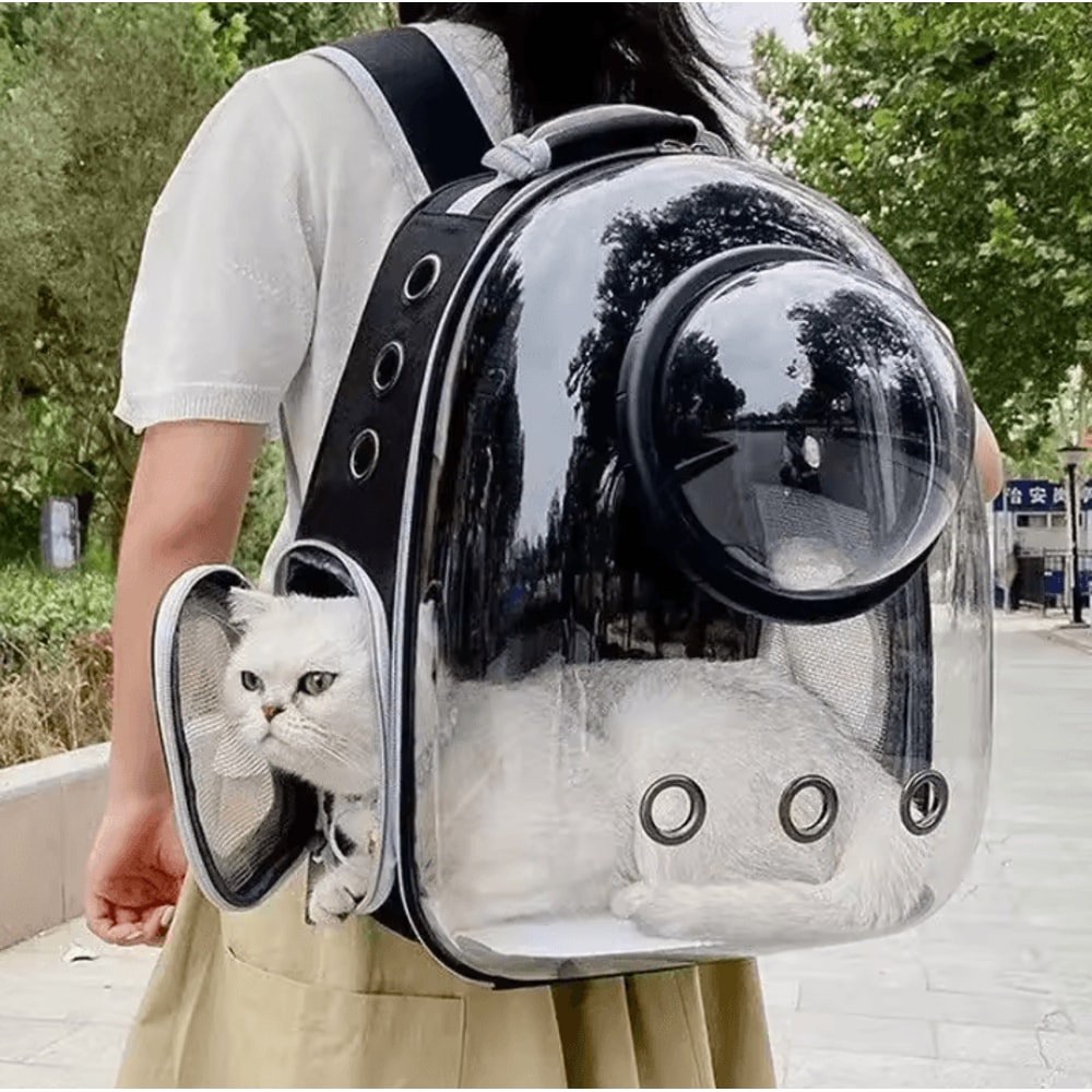 Transparent Bubble Cat Carrier Backpack For Travel Outdoor Adventures 1