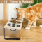 15 Tilted Elevated Cat Bowls With Stainless Steel Feeding Set 1
