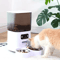 Smart 5L Automatic Cat Feeder With Camera Dual Bowls 1