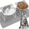 CozyTilt Elevated Stainless Steel Cat Bowl Set 0