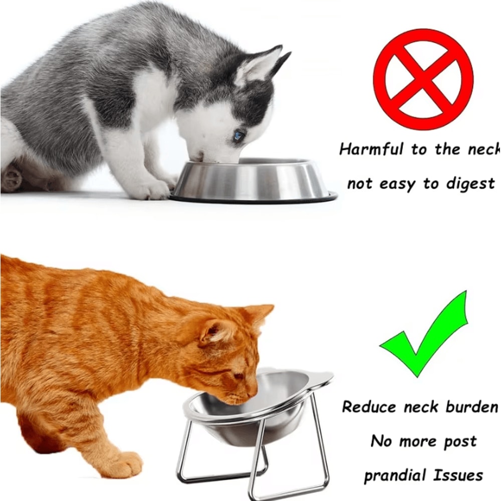 CozyTilt Elevated Stainless Steel Cat Bowl Set 2