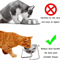 CozyTilt Elevated Stainless Steel Cat Bowl Set 2