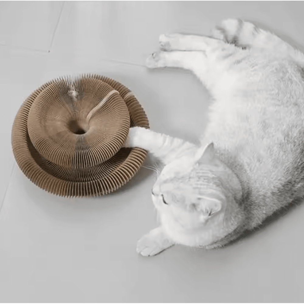 FlexiPurr Accordion Cat Scratcher Toy 4