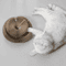 FlexiPurr Accordion Cat Scratcher Toy 4