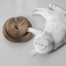 FlexiPurr Accordion Cat Scratcher Toy 4