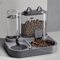 DuoFlow 2in1 Automatic Pet Feeder Water Dispenser 2