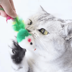 playpounce feather mouse cat toy set