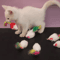 PlayPounce Feather Mouse Cat Toy Set 4