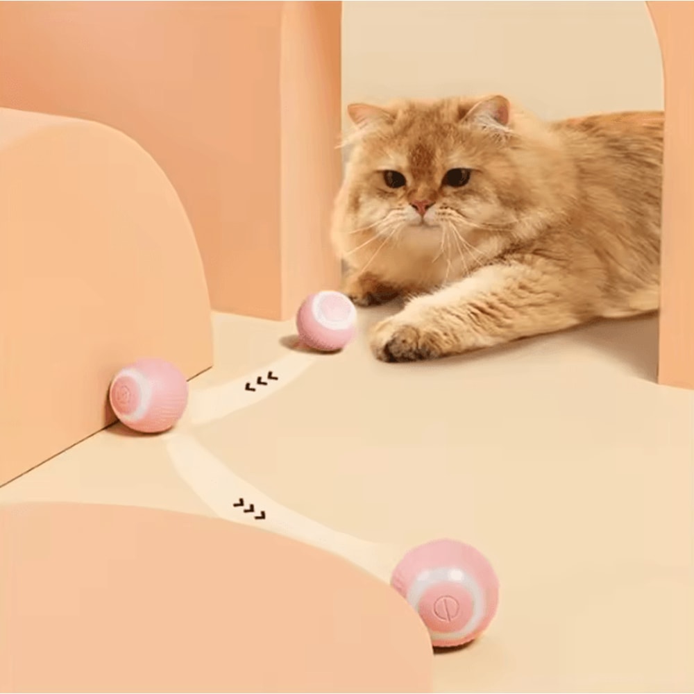 ZoomRoll Smart Interactive Cat Ball 1