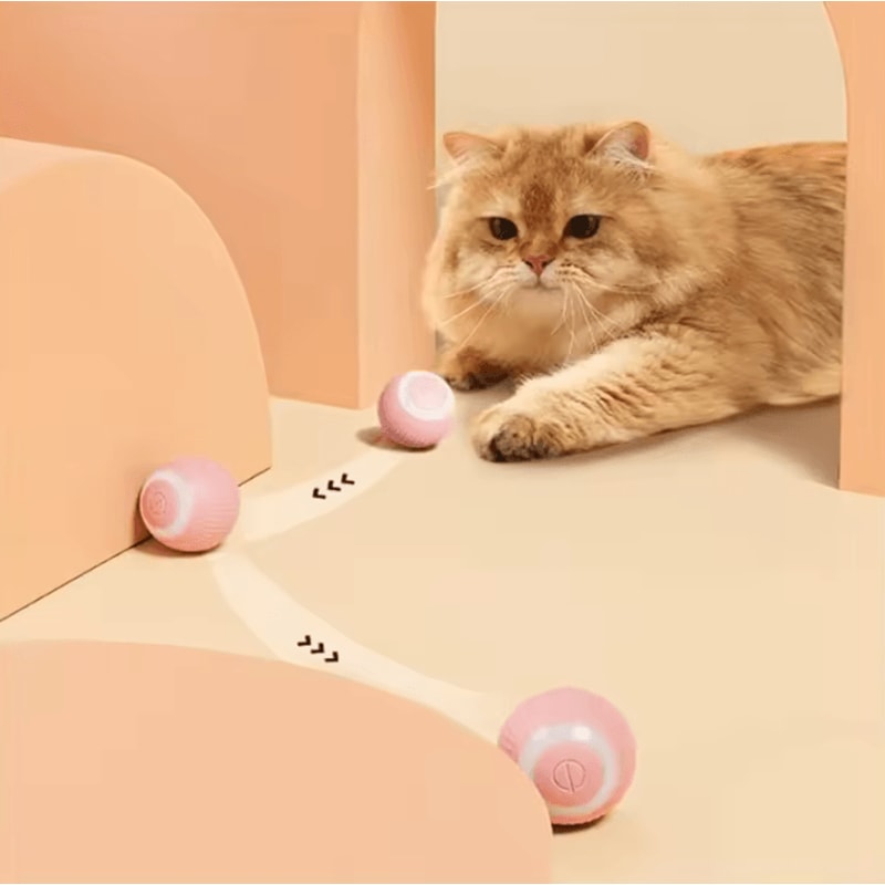 ZoomRoll Smart Interactive Cat Ball 1