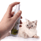 PurrFresh Natural Catnip Spray For Cats 1