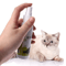 PurrFresh Natural Catnip Spray For Cats 1