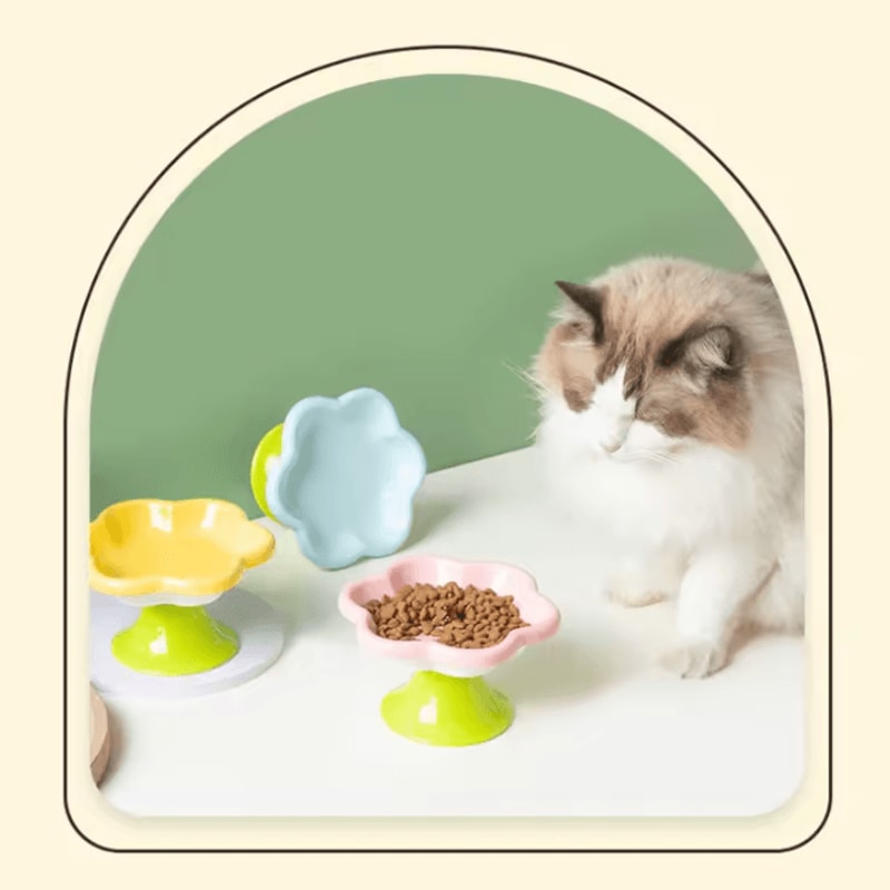 BloomBowl Elevated Ceramic Pet Feeding Bowl 0