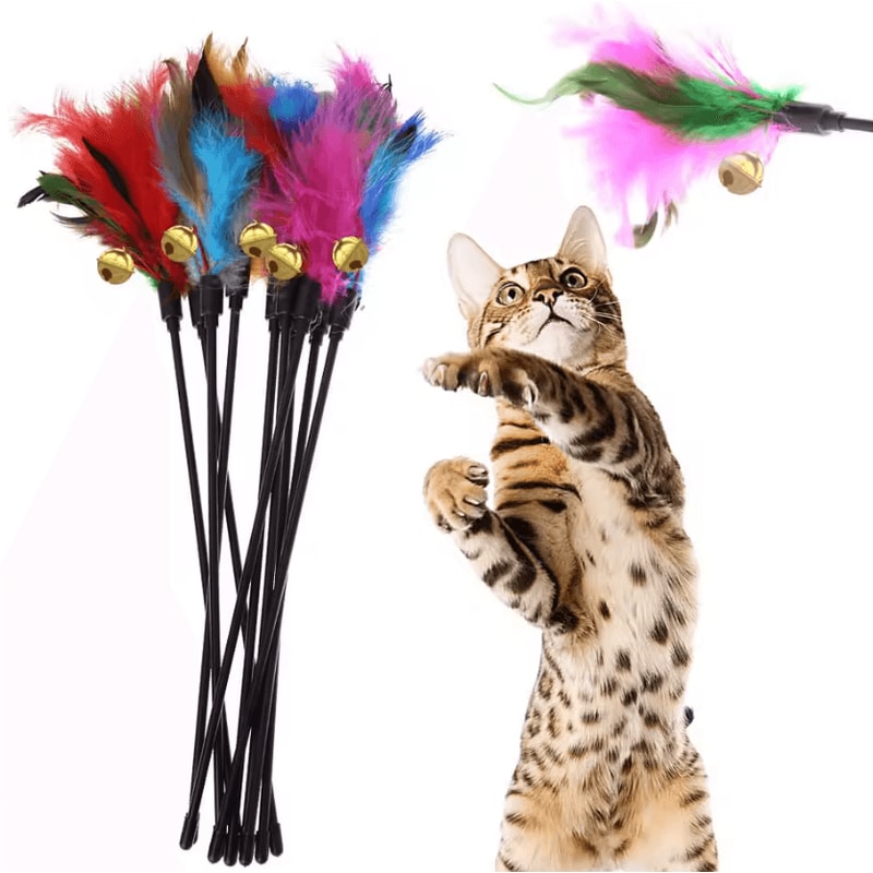 FeatherFrenzy Interactive Cat Wand Toy Set 1