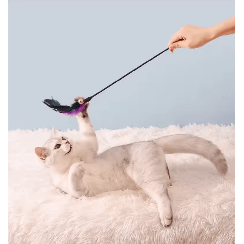 FeatherFrenzy Interactive Cat Wand Toy Set 3