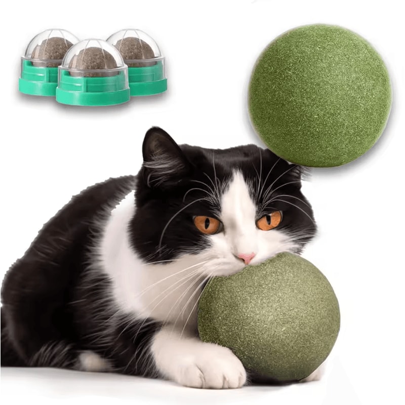 MintMunch Catnip Dental Treat Balls 1